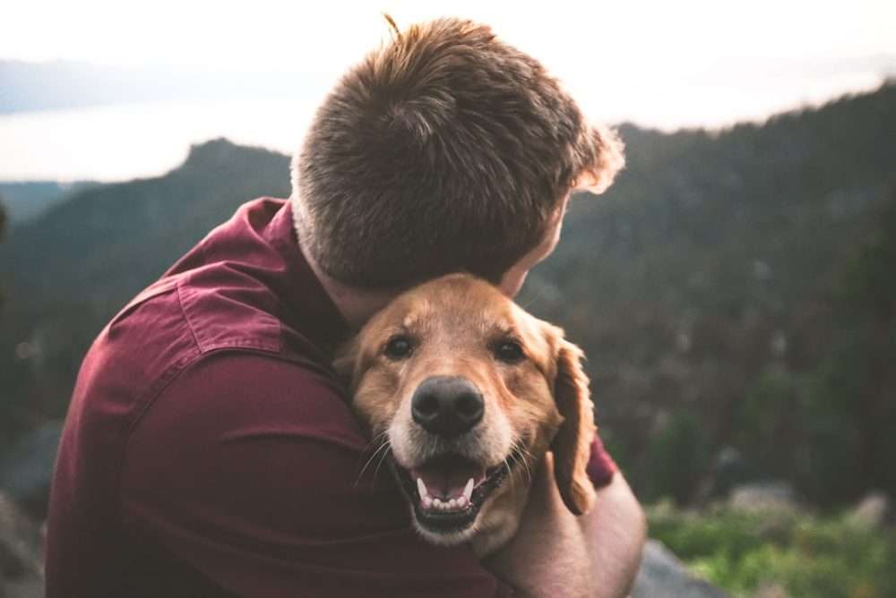 estate planning for pets